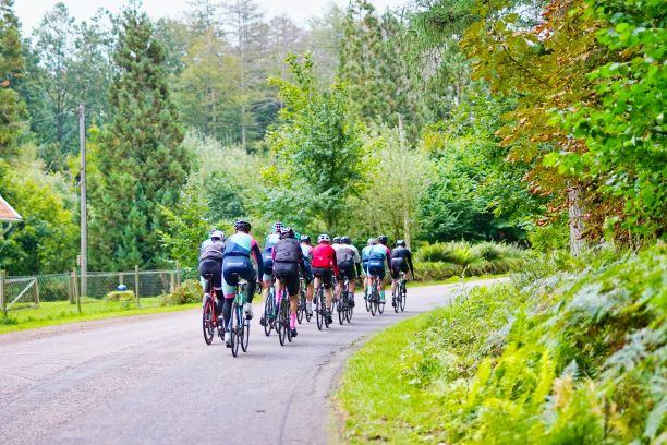 groups cyclists cycling forest green road
