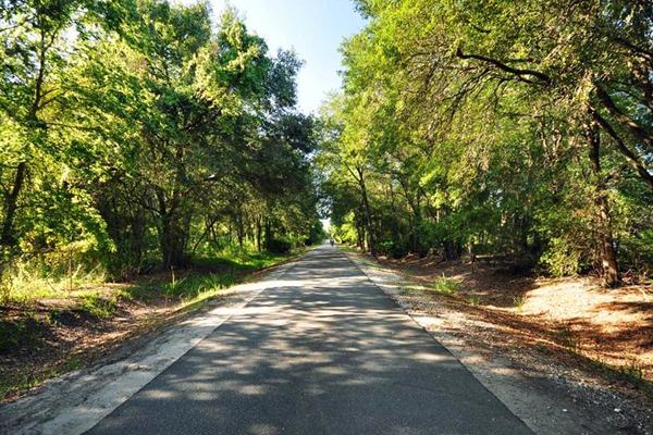 Gainesville-Hawthorne bike trail cycling daytime best
