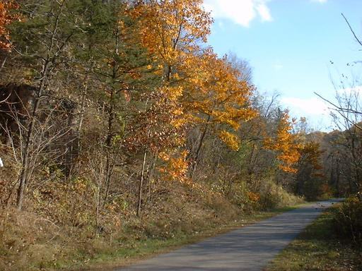 Cannon Valley Trail best paved bike trail minnesota