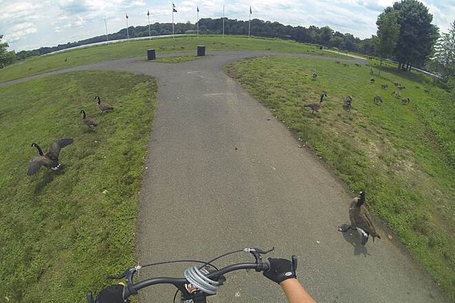 Cooper River Park bike trail 