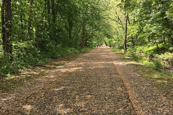 Middlesex Greenway bike trail