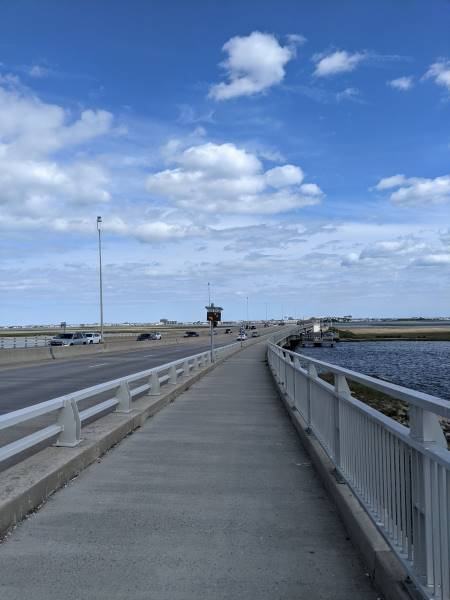 Ocean City Bike Path bike path cycling best nj