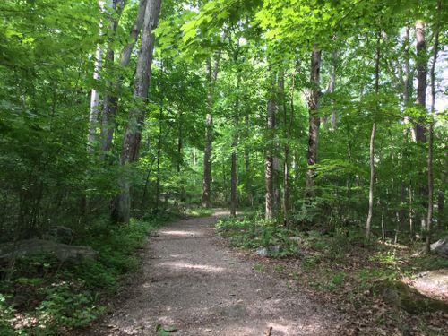 Patriot’s Path bike trail cycling