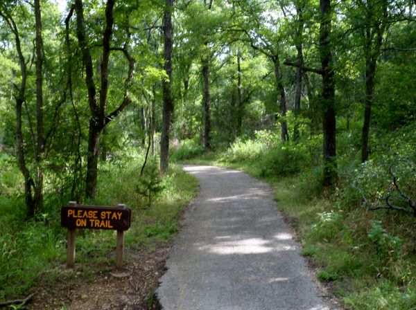 onion creek bike trail best bike paths austin Texas
